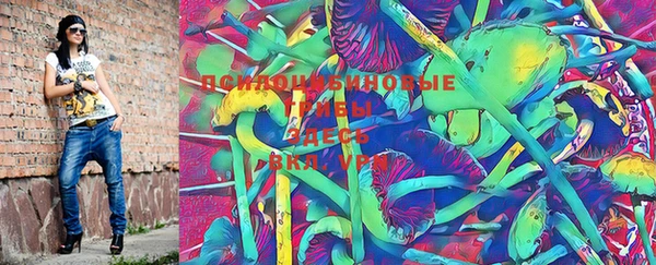 героин Ельня