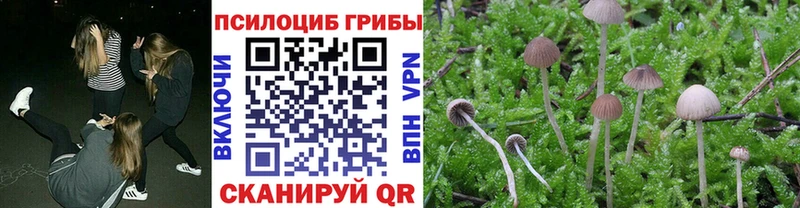 Галлюциногенные грибы мухоморы  Купить  Муром 